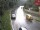 Webcam in Hopfgarten im Brixental, 1.7 mi away