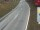 Webcam in Schattwald, 5.8 km entfernt