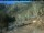 Webcam in Mineral King, Californien, 130.9 km