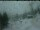 Webcam in Mineral King, California, 171 km