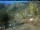 Webcam in Mineral King, California, 8.3 mi away