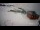 Webcam in Nuuk, 2.4 km