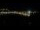 Webcam in Le Lavandou, 0 km
