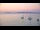 Webcam in Le Lavandou, 4.9 km