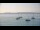 Webcam in Le Lavandou, 0.2 km entfernt