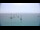 Webcam in Le Lavandou, 0.5 mi away