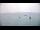 Webcam in Le Lavandou, 0 km entfernt