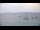Webcam in Le Lavandou, 0 km entfernt