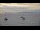 Webcam in Le Lavandou, 0 km