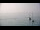 Webcam in Le Lavandou, 2.5 km