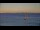 Webcam in Le Lavandou, 0 km
