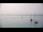 Webcam in Le Lavandou, 4.9 km