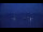 Webcam in Le Lavandou, 0.5 mi away