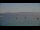 Webcam in Le Lavandou, 0.5 mi away