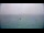 Webcam in Le Lavandou, 10 km