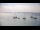 Webcam in Le Lavandou, 0.5 mi away