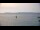 Webcam in Le Lavandou, 10 km entfernt