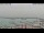 Webcam in Civitanova Marches, 1.8 km