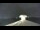 Webcam in Huntsville, Tennessee, 215.9 km
