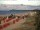Webcam in Trassenheide, 3.2 mi away