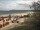 Webcam in Trassenheide, 2.3 mi away