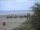 Webcam in Trassenheide, 0.2 km entfernt