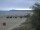 Webcam in Trassenheide, 1.4 mi away