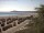 Webcam in Trassenheide, 8.8 km