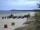 Webcam in Trassenheide, 18.1 km