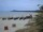 Webcam in Trassenheide, 8.8 km