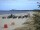 Webcam in Trassenheide, 11.6 km