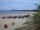Webcam in Trassenheide, 4.1 km