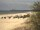 Webcam in Trassenheide, 0.1 mi away