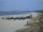 Webcam in Trassenheide, 8.8 km