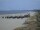 Webcam in Trassenheide, 11.4 km
