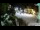Webcam in Novi Vinodolski, 0.2 km entfernt