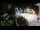Webcam in Novi Vinodolski, 5.2 mi away