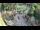 Webcam in Slunj, 16 mi away
