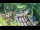 Webcam in Slunj, 12.6 mi away