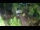 Webcam in Slunj, 16 mi away