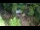 Webcam in Slunj, 16 mi away