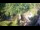 Webcam in Slunj, 15.6 mi away