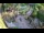 Webcam in Slunj, 15.7 mi away