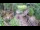 Webcam in Slunj, 12.4 mi away