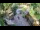 Webcam in Slunj, 16 mi away