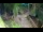 Webcam in Slunj, 16 mi away