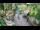Webcam in Slunj, 15.7 mi away