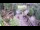 Webcam in Slunj, 16 mi away