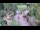 Webcam in Slunj, 15.9 mi away