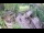 Webcam in Slunj, 12.6 mi away